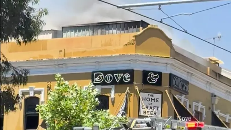 Sydney's Dove and Olive Pub Fire Halts Light Rail, Evacuation Ordered