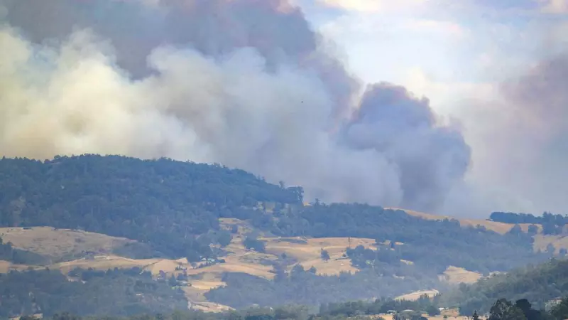 Tasmania's East Coast Ravaged: 19 Homes Destroyed in Dolphin Sands Bushfire