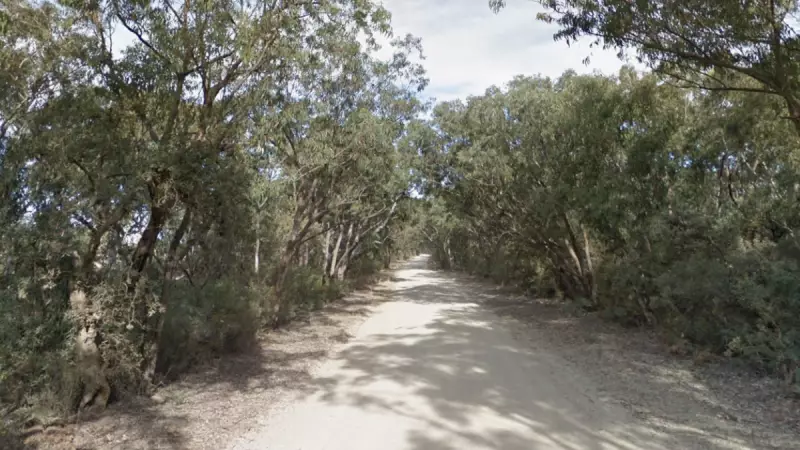 Teenager killed, two critically injured in Christmas Eve crash near Taree
