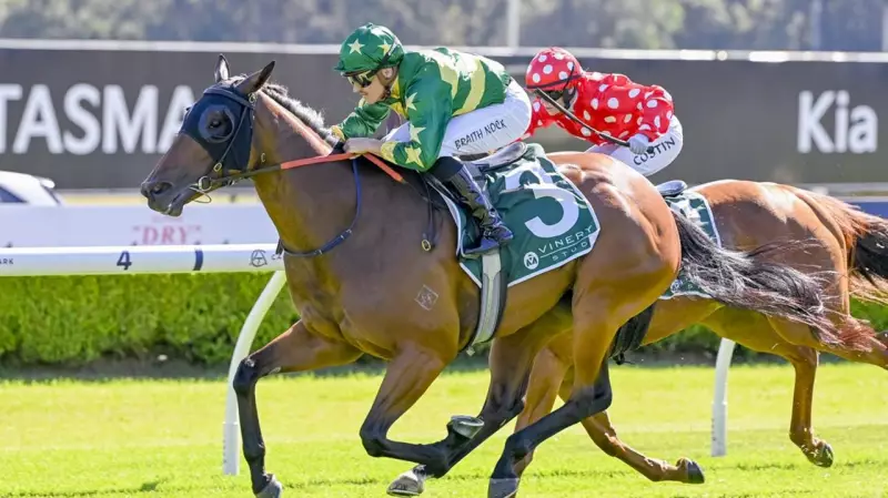 Tequila Baby Aims for Warwick Farm Redemption After Last Start Letdown