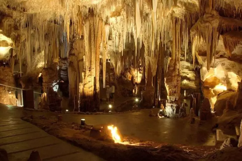 Tragedy in Tank Cave: Experienced Diver Drowns in South Australian Sinkhole