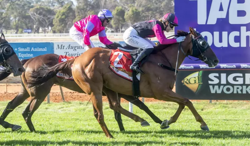 Veteran Sowar Defies Age to Claim Walkaway Cup in Thrilling Geraldton Finish