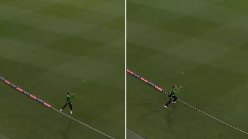 Vintage Peter Siddle stars as Melbourne Stars upset BBL champions Hobart Hurricanes