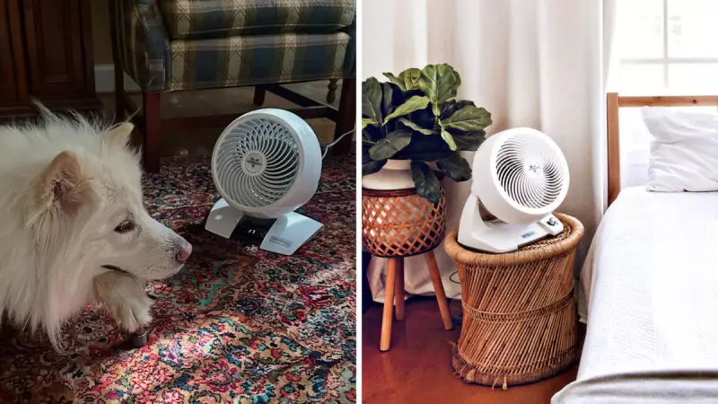 Vornado Fan Slashed to Half Price in Boxing Day Sales at Amazon Australia