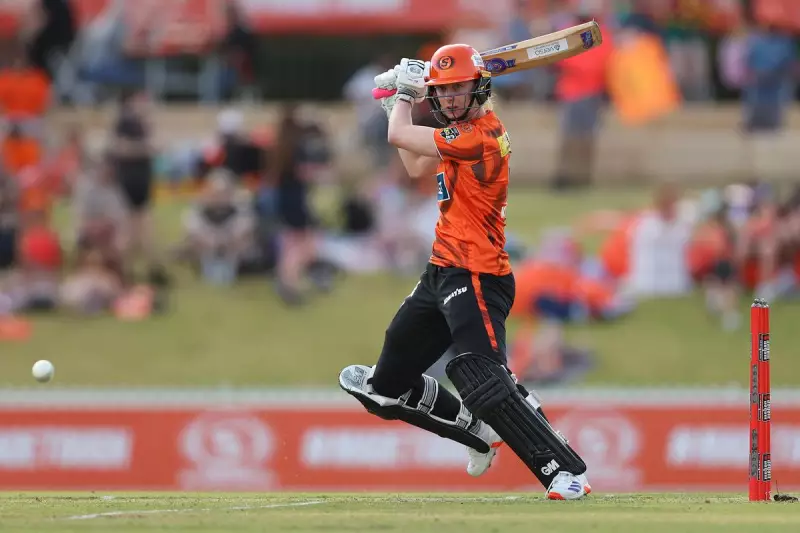 WBBL 2025: Scorchers' Finals Fate in Their Own Hands Ahead of Heat Showdown