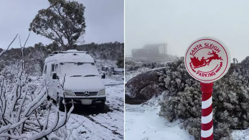 White Christmas in Australia: Snow Falls in Tasmania on December 25