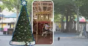 ACT Govt Spends $35K on Influencers to Boost Christmas City Visits
