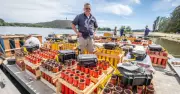 Canberra's 2026 NYE Fireworks Ignite Lake Burley Griffin with Record $154k Display