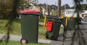 Christmas bin collection changes for Wollongong and Shellharbour residents