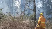 Far North Queensland firefighters battle vegetation fires amid heatwave