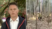 Firefighter Killed by Falling Tree in NSW Bushfire, First Fatality of Season