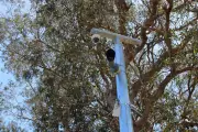 Murray Shire Completes $170k Licence Plate CCTV Rollout in Pinjarra