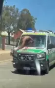 Naked man smashes ambulance windscreen in Kalgoorlie-Boulder