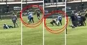 Parent Tackles Pitch Invader After Umpire Attacked in Junior Cricket Match