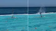 Swimmer Spotted Using Phone at Bondi Icebergs Pool, Video Hits 800k Views