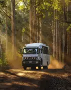 WA's Summer of Flies: Plague, Pollinators & Travel Updates for 2025-26