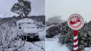 White Christmas in Australia: Snow Falls in Tasmania on December 25