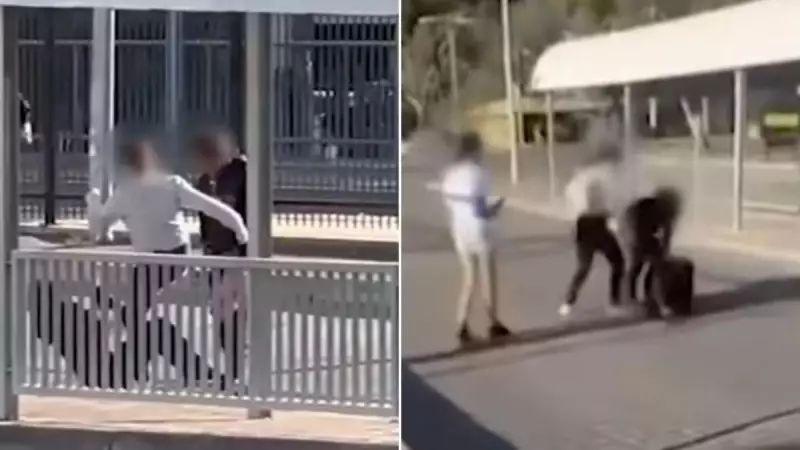 14-Year-Old Girl Granted Bail Over Filming of Alleged Stabbing Attack in Adelaide