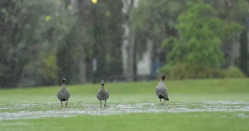 ACT Severe Thunderstorm Warning Cancelled After Evening Scare