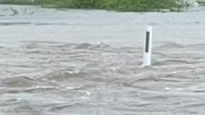 Alligator Creek Floods on New Year's Day: 'Never Gotten This Bad This Quickly'