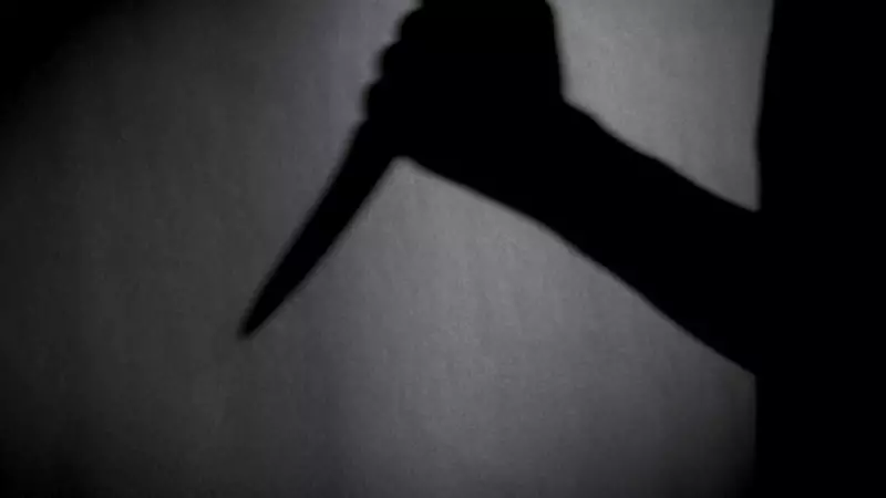 Appeal Court Slashes Sentence for Cairns Knife Attacker, Deeming Original 'Excessive'