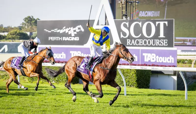 Apulia Wins Perth Cup, Equals Record & Eyes Melbourne Cup Glory