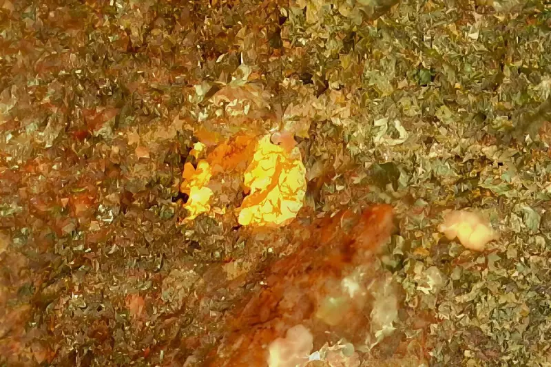 Augustus Minerals Clears Heritage Hurdle for WA Gold Drilling Campaign