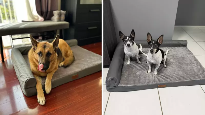 Aussie Pet Owners Snag Top-Rated Orthopedic Dog Bed for Just $59.49