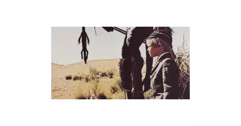 Australia Day TV Guide: Free-to-Air Highlights for the Long Weekend