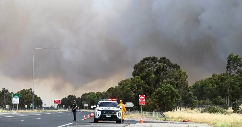 Australia's Summer of Disaster: Expert Calls for Urgent Resilience Overhaul