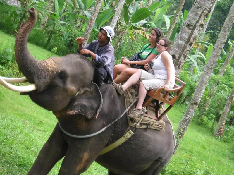 Bali Zoo Ends Elephant Rides After Years of Pressure from Animal Welfare Groups