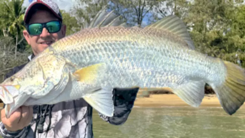 Barramundi Stocks Surge in Cairns as Fishing Season Commences