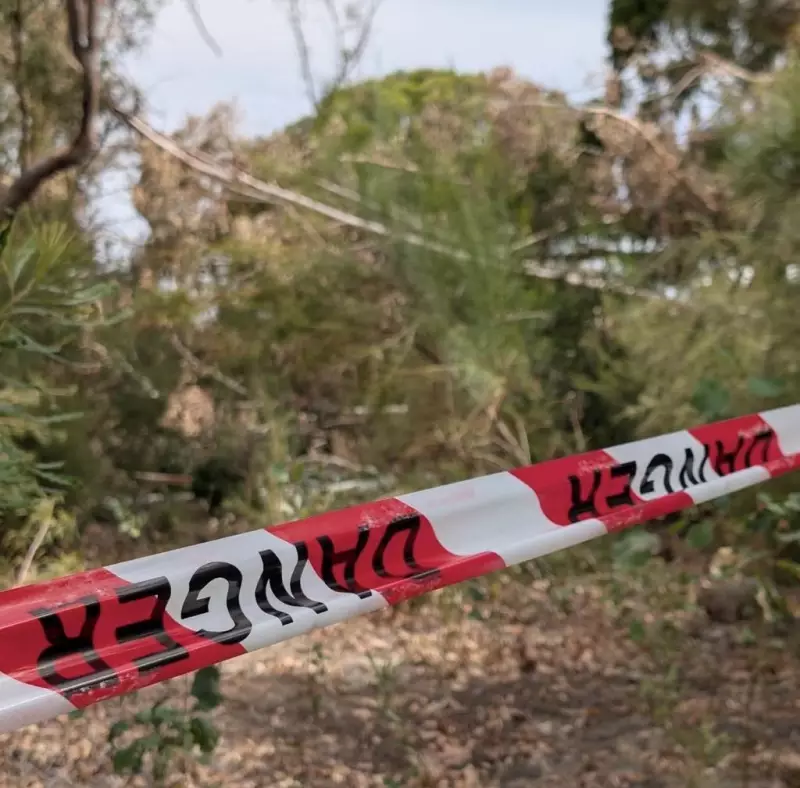 Bayswater Storm Tree Loss: Council Rejects Call for Extra 110 Replacements