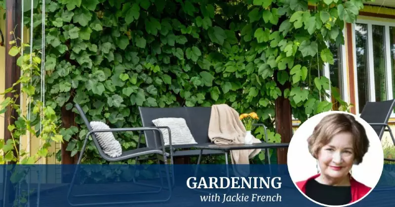 Beat the Aussie Heat: 5 Smart Ways to Cool Your Home This Summer