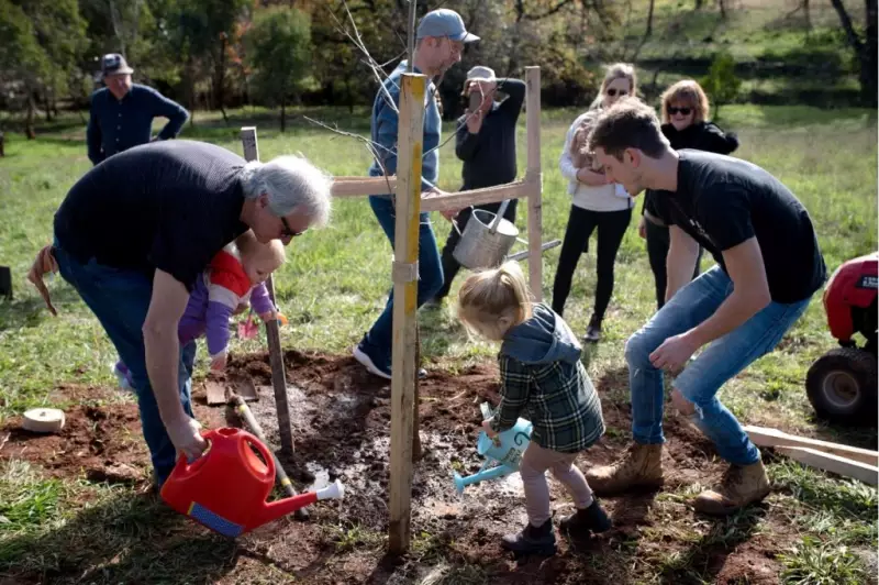 Blackwood's Memorial Trees Destroyed: Community 'Devastated' by Vandalism