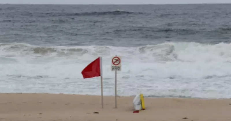 Bull Shark Sighting Closes Bulli Beach Again, Second Incident in a Week