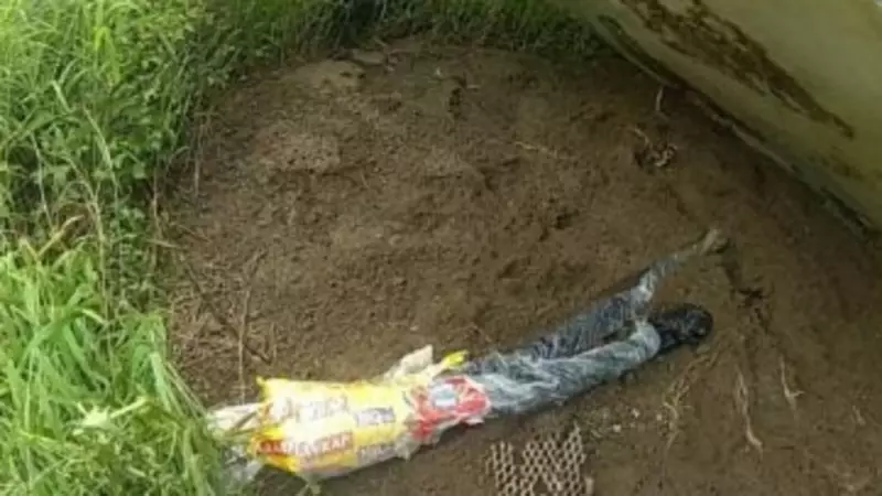 Cairns Police Seize Stolen Firearms, Drugs; Charge Man and Teen