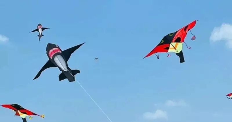 Canberra's Kite Flying Festival Soars This Sunday at Lake Burley Griffin