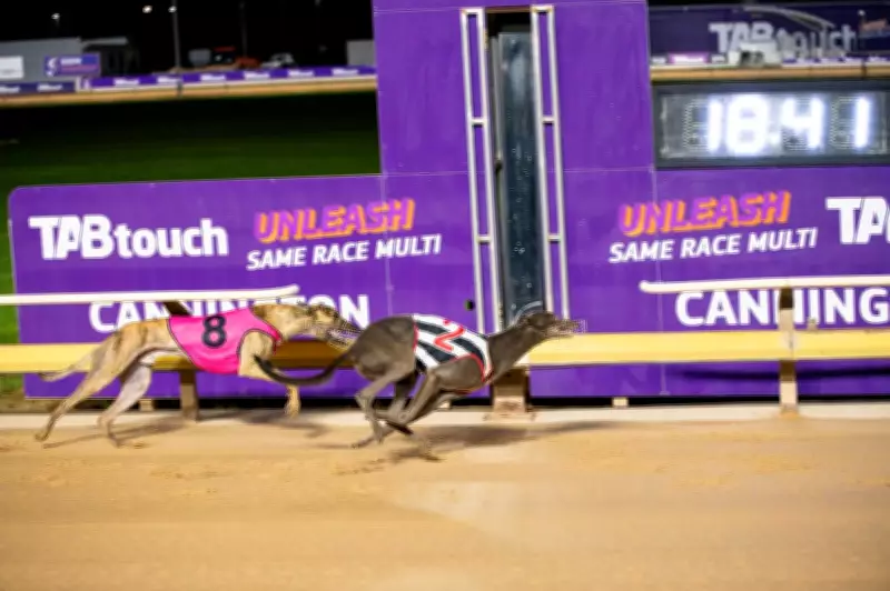 Cannington Greyhound Track Shut Down After String of Serious Injuries