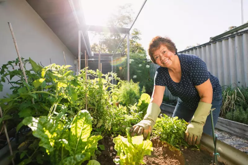 Charlie Albone's Expert Guide to Protecting Your Garden from Summer Heat Stress