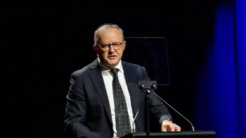 Coalition's Internal Rift Strengthens Albanese's Position Ahead of Election