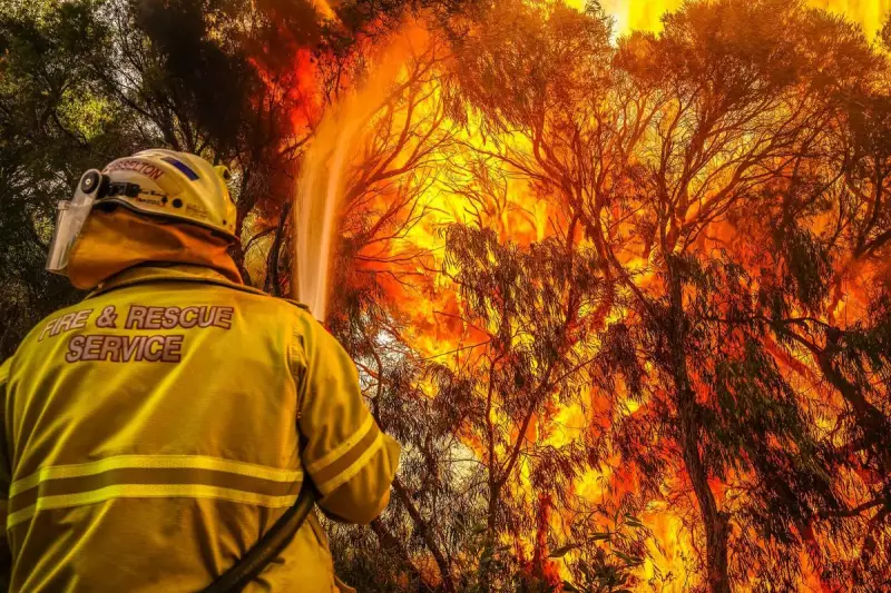 Collie Man Faces Arson Charges After Allegedly Setting Multiple Bushfires