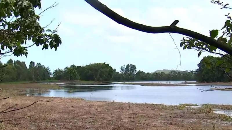 Crocodile Attack in Far North Queensland: Man, 26, Hospitalised After Morning Swim