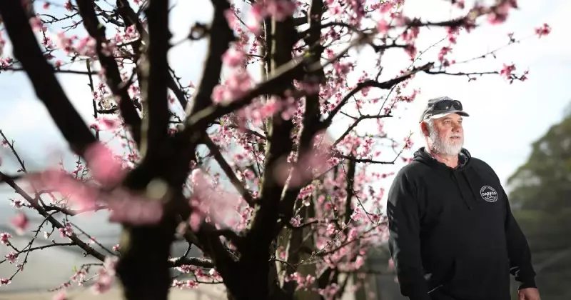 Darkes Forest Farmer's Brave Fight Against Aggressive Brain Cancer