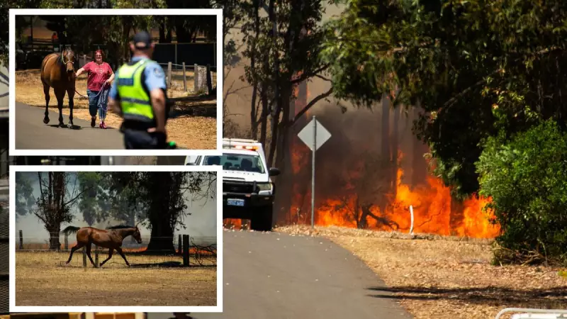 Emergency Bushfire Warning: Collie Residents Urged to Evacuate Immediately