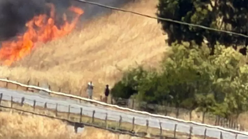 Fast-moving grass fire disrupts Geelong Ring Road traffic