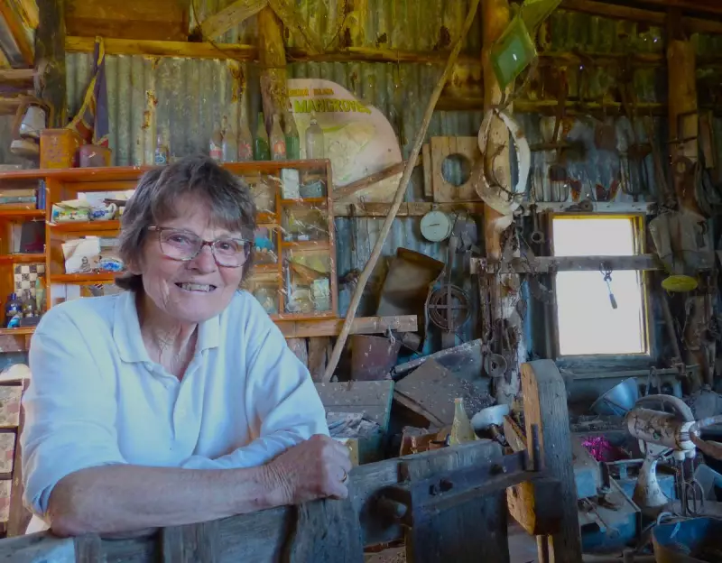 French Island: Victoria's Hidden Time Capsule Where Koalas Outnumber People