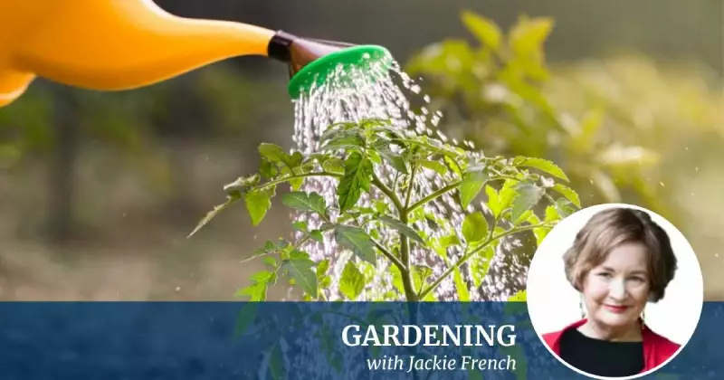 Gardening for Dummies: Jackie French's Essential Guide for Australian Gardeners