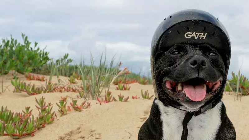 Geelong Advertiser readers showcase region's beauty in stunning photo competition