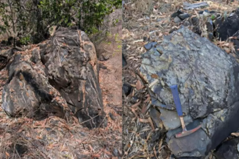 Gold Fields and Great Southern Mining Prepare Major Queensland Gold Exploration Campaign